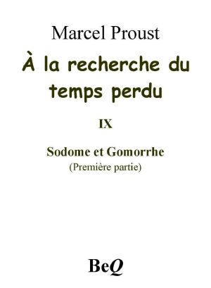 [Livre Culte 30] • A La Recherche Du Temps Perdu IX